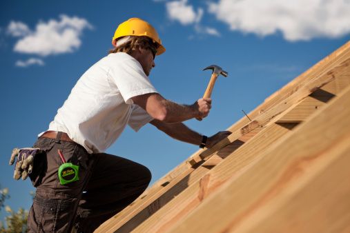 The Origin and Evolution of Professional Roofing Services at Lake Bonavista and Worldwide